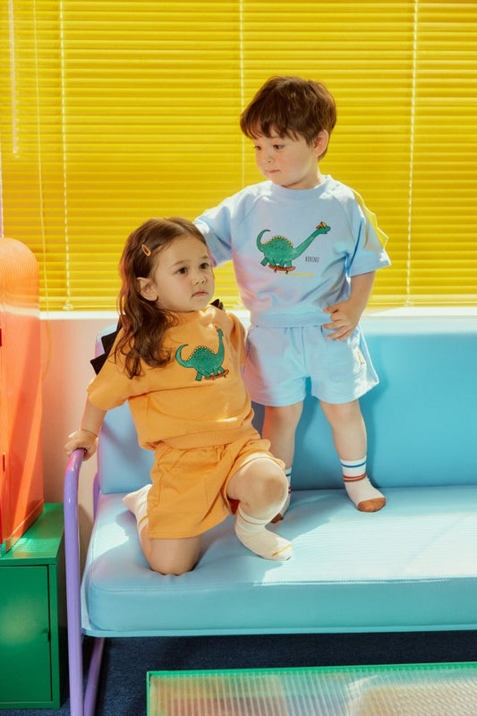 Dinosaurs set