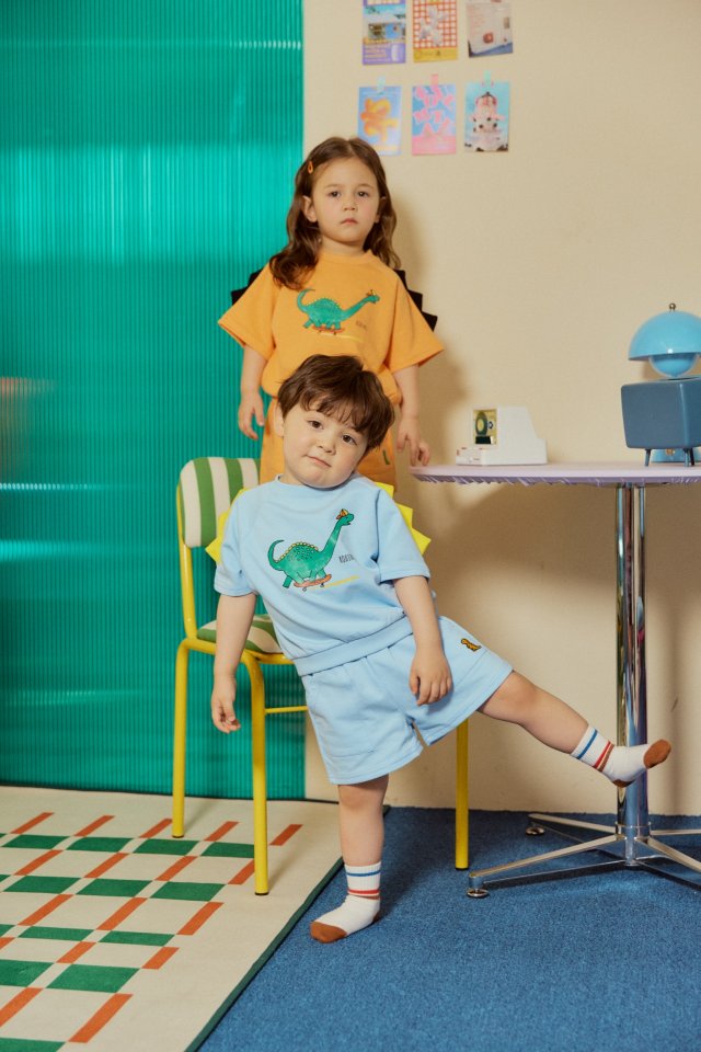 Dinosaurs set