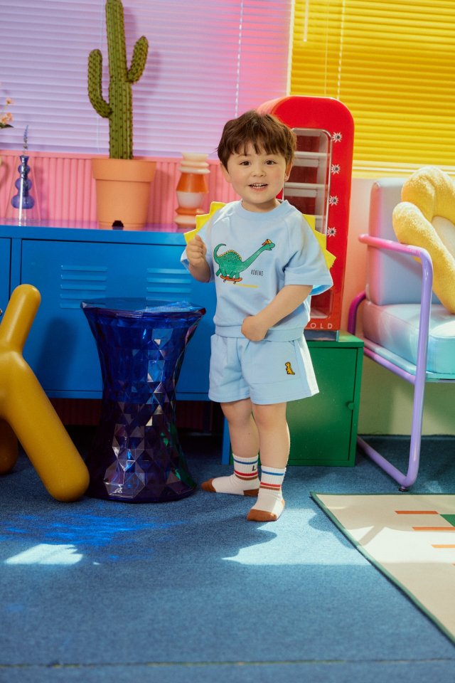 Dinosaurs set