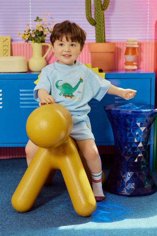 Dinosaurs set